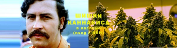 крисы Бородино