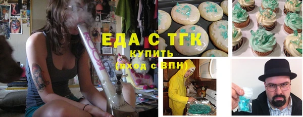 крисы Бородино