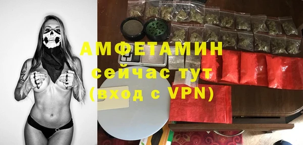 крисы Бородино